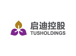 启迪控股